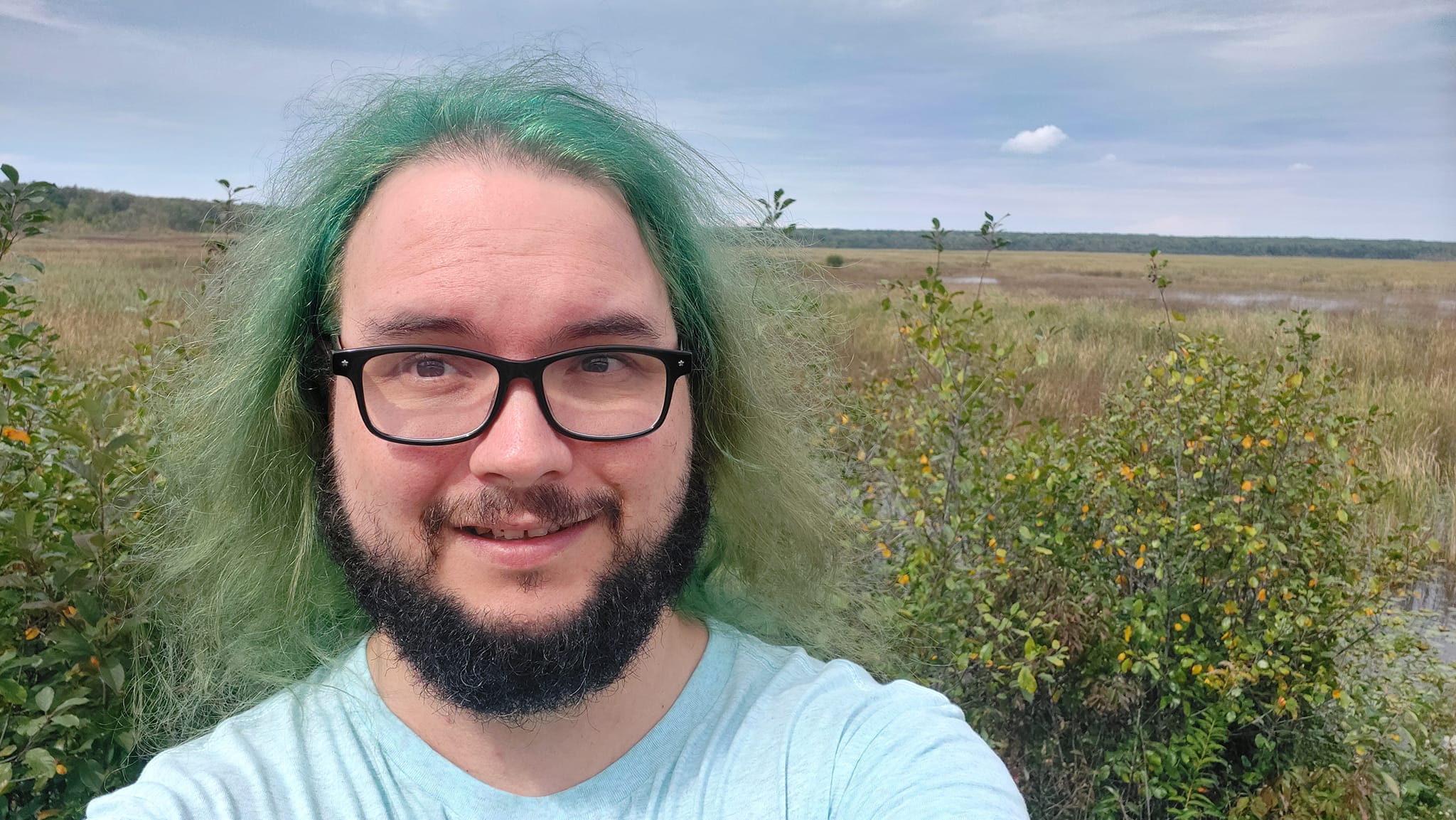 A man with green hair stands in front of a marsh, Photo 2